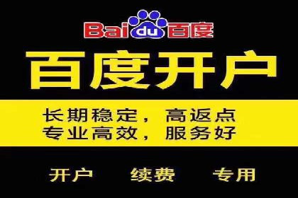 百度推广价格透明度：某电商平台的实践